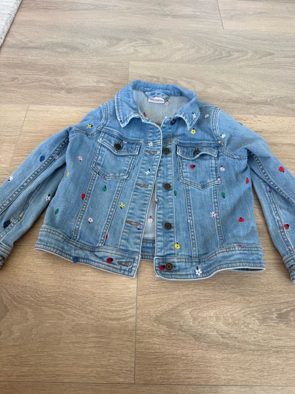 Hanna Andersson Light Blue Denim Jacket with Multicolor Embroidered Flowers